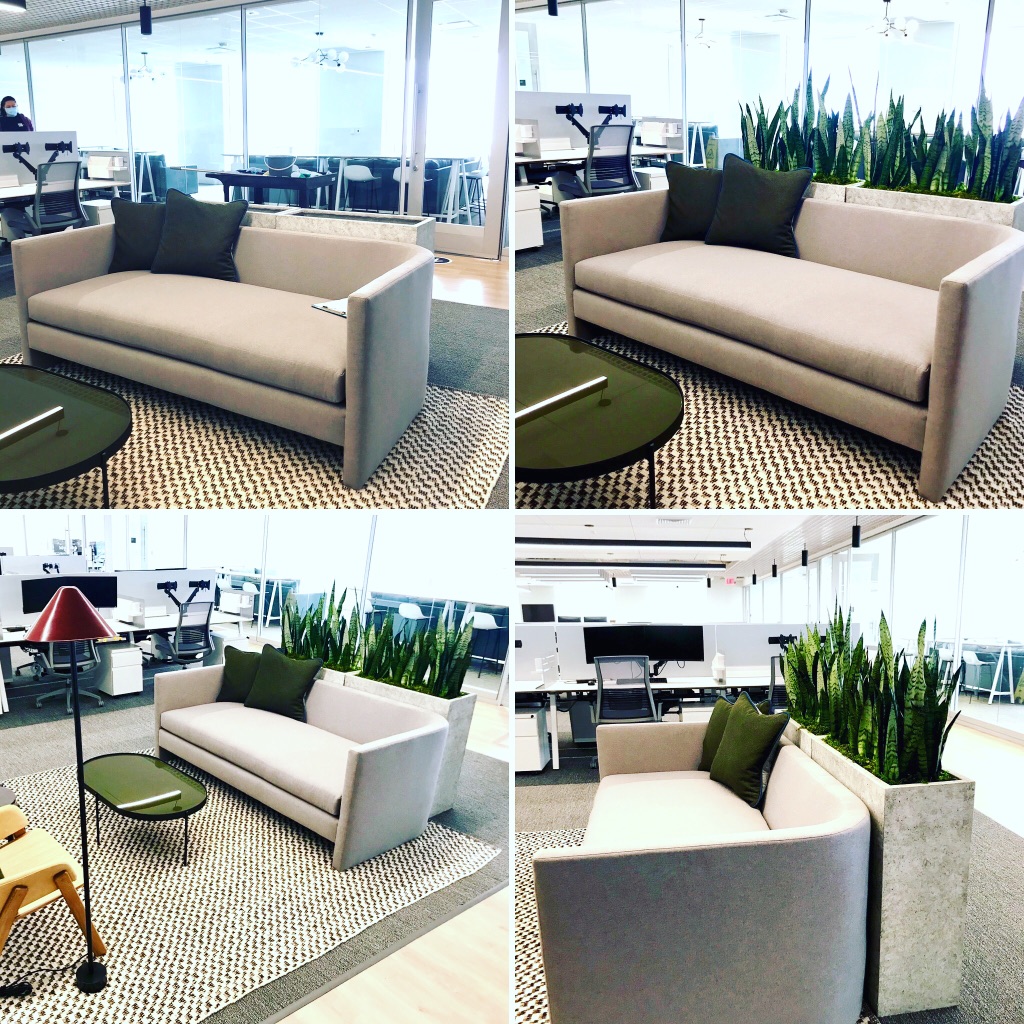Office before and after snake plant setup