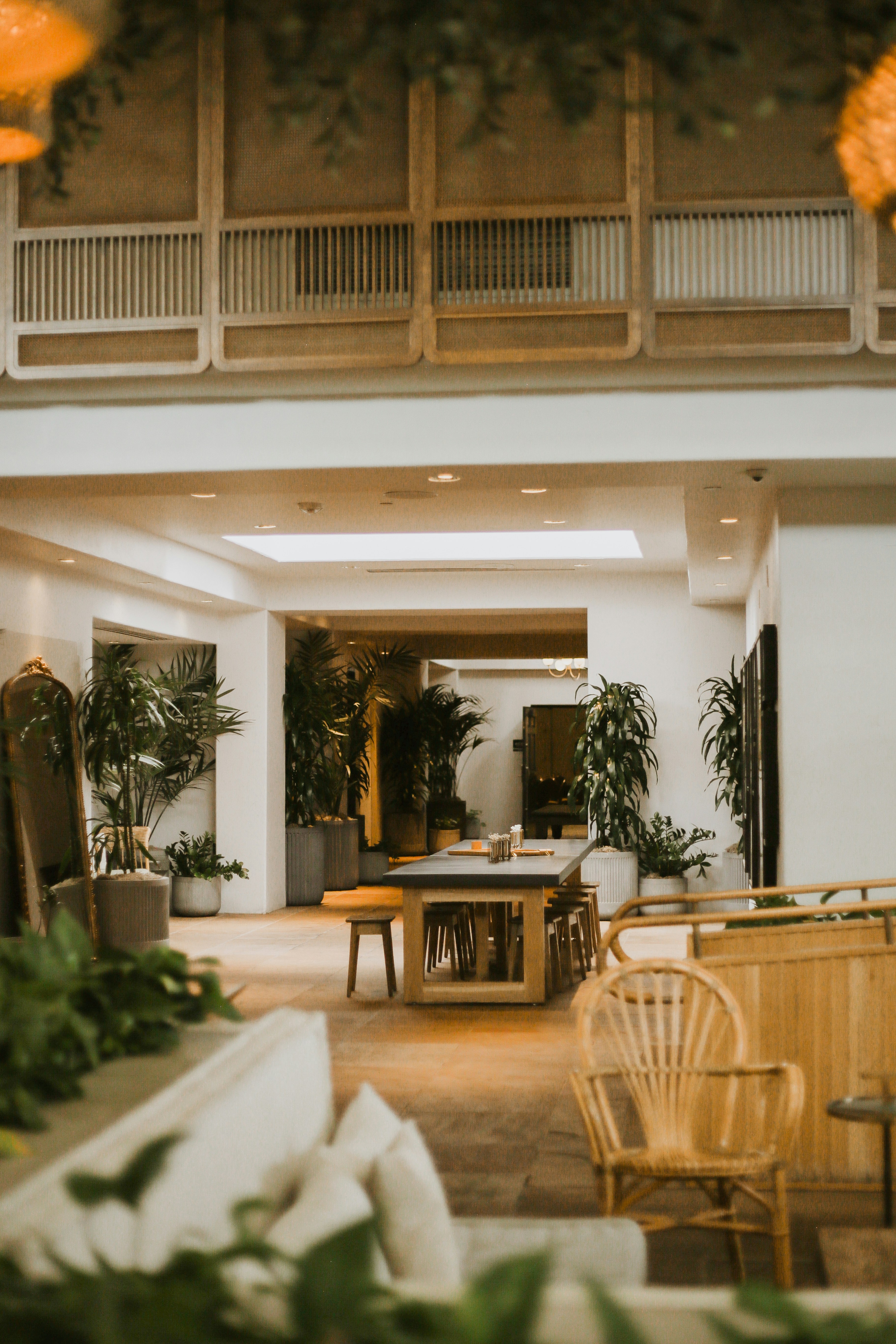 Lobby plant setup