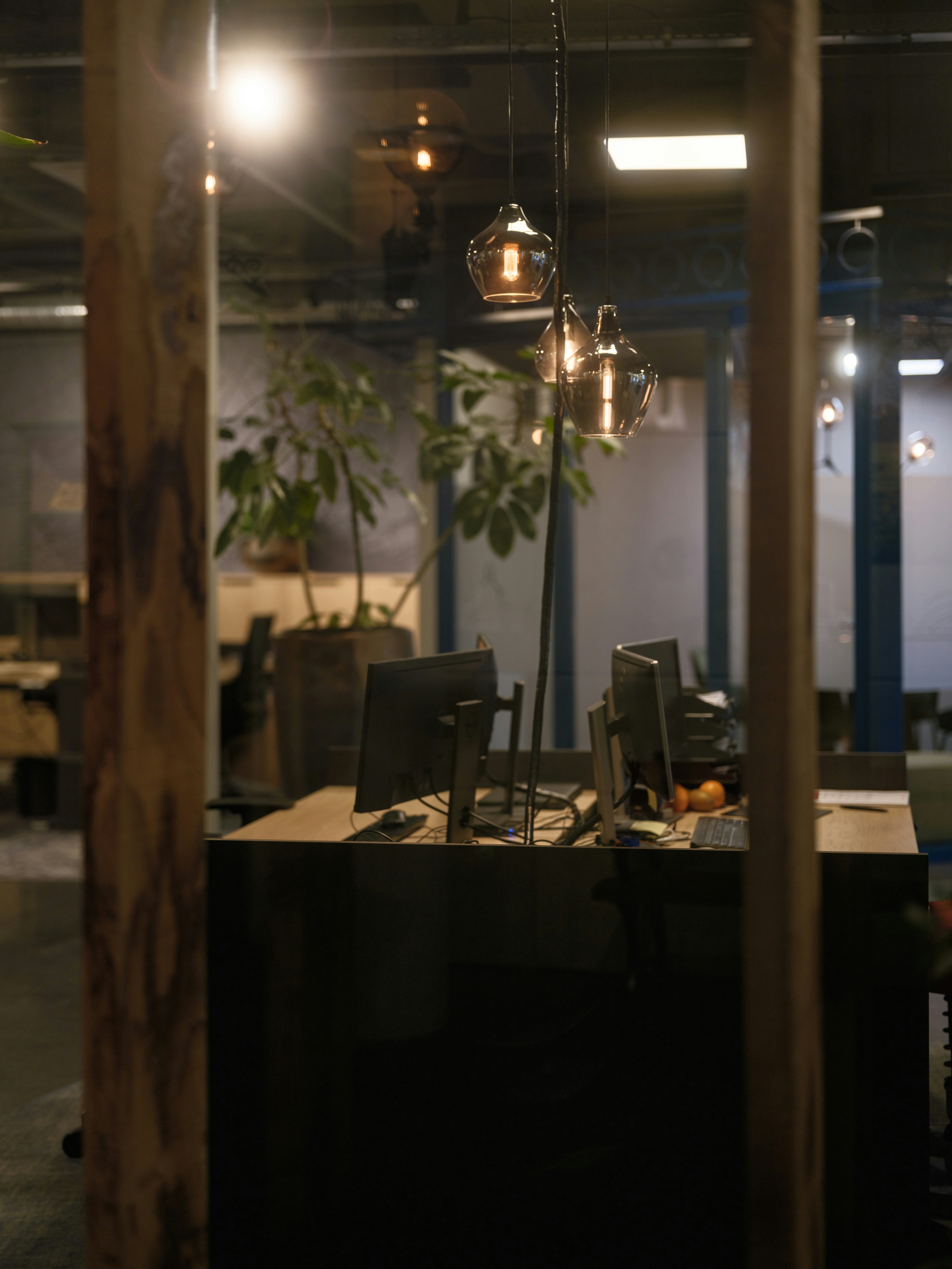 Office space with plants