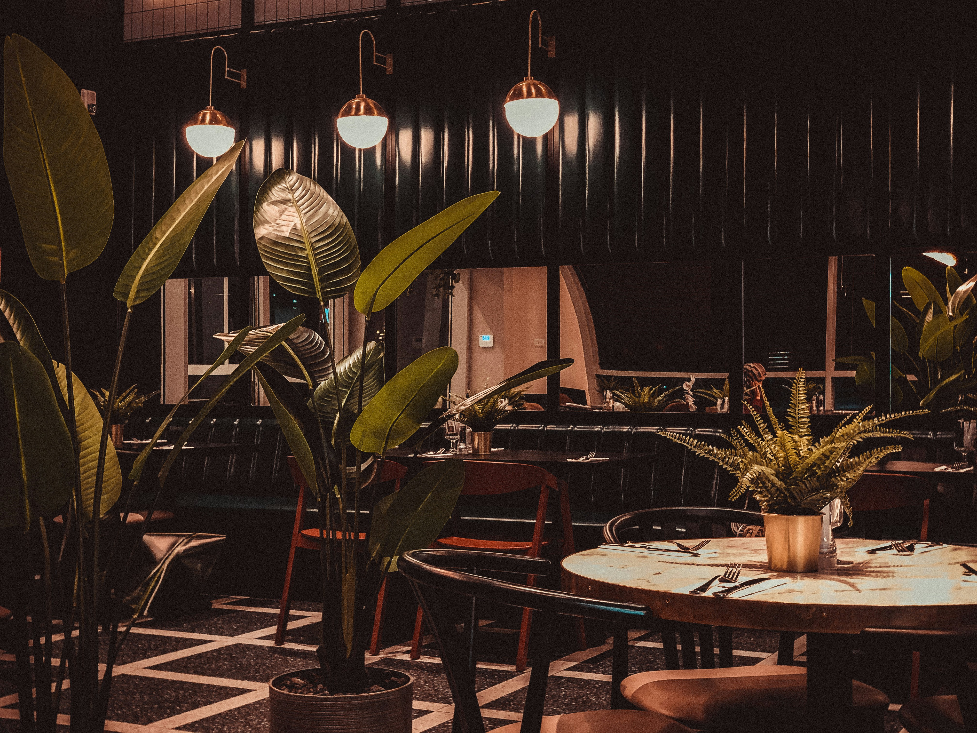 Restaurant dining room with plants